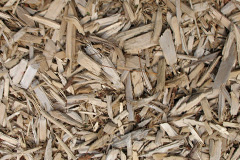 biomass boilers Leeans
